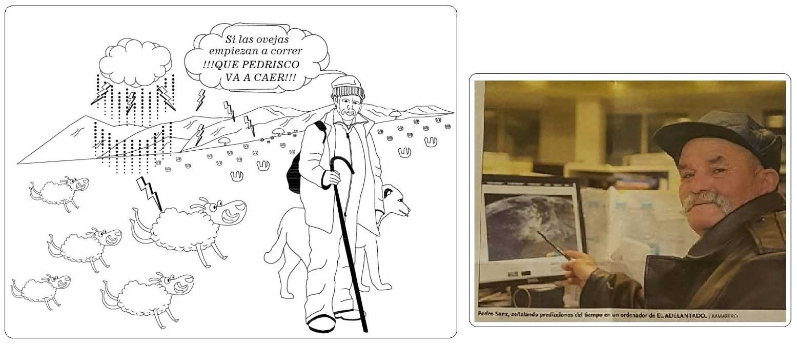 Camiseta Carrera 2025